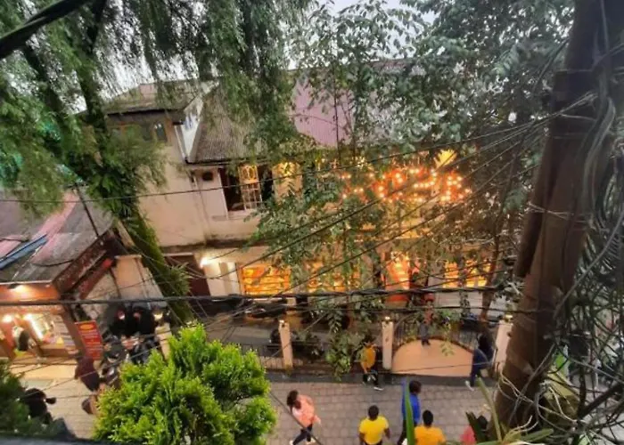 Hotel Olive Branch Darjeeling Near Mall Road - Excellent Customer Service - Parking Facilities - Best Seller
